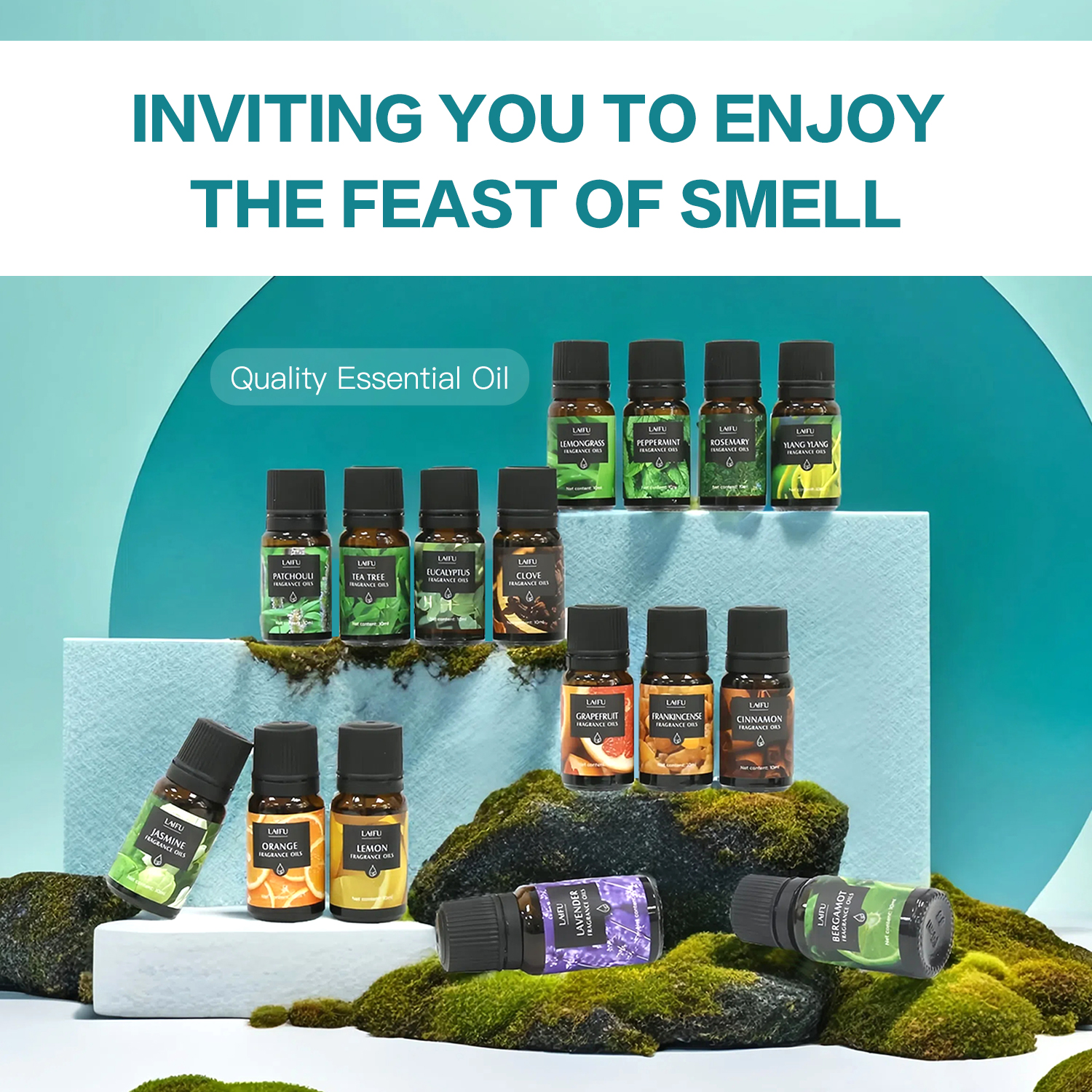 16x10ml Essential Oils Set for - Candle Making Scents 评论和价格
