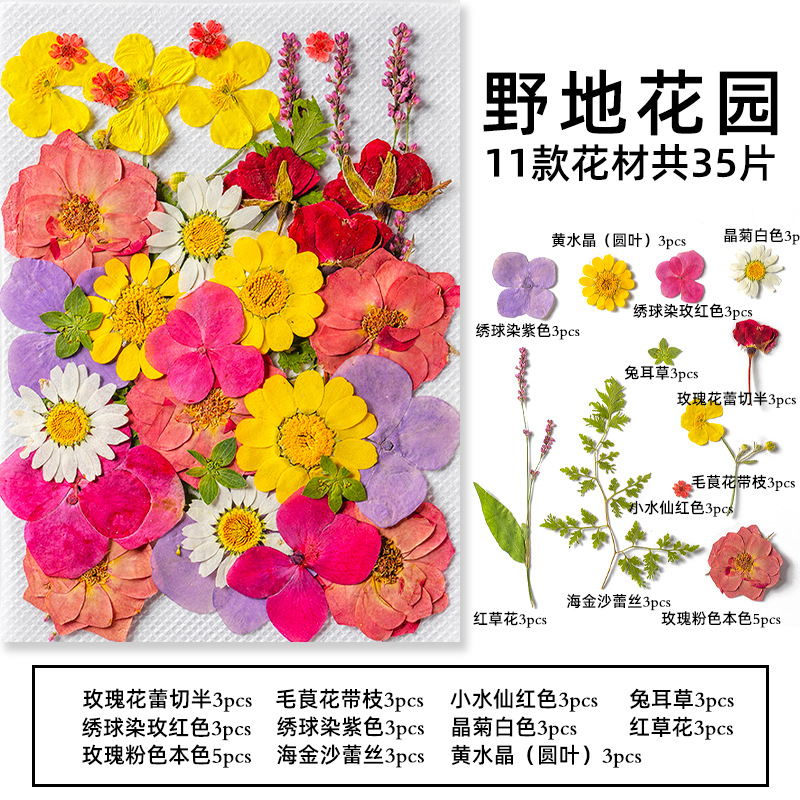 35Pcs10 Set of Dried Flowers a - Candle Making Scents 评论和价格