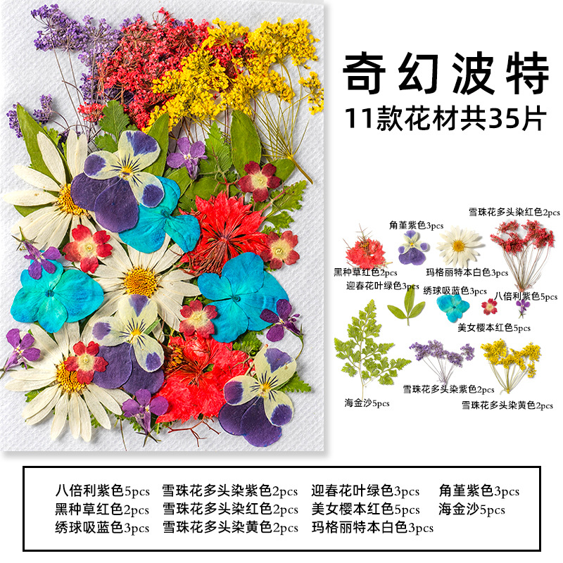 35Pcs10 Set of Dried Flowers a - Candle Making Scents 评论和价格