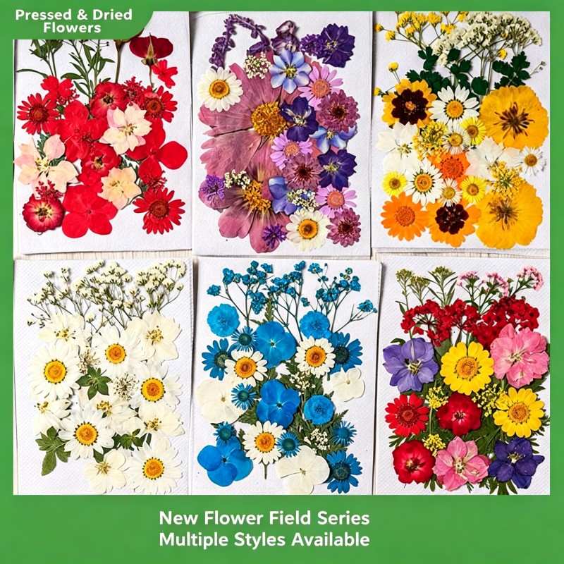35Pcs10 Set of Dried Flowers a - Candle Making Scents 评论和价格